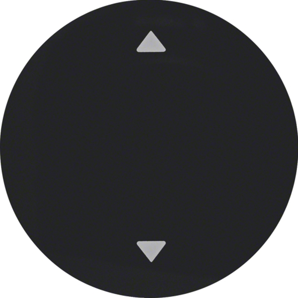 Berker 16202005 Wippe mit Aufdruck Symbol Pfeile R.1/R.3 schwarz glänzend