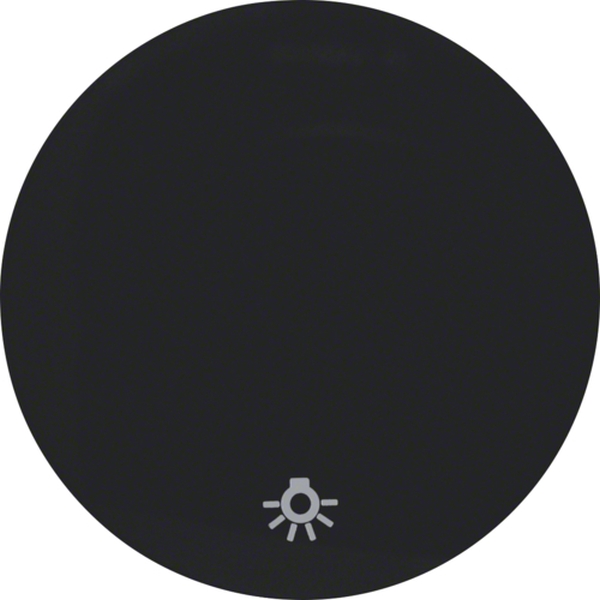 Berker 16202035 Wippe mit Aufdruck Symbol Licht R.1/R.3 schwarz glänzend