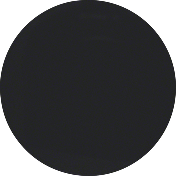 Berker 16202045 Wippe R.1/R.3 schwarz glänzend