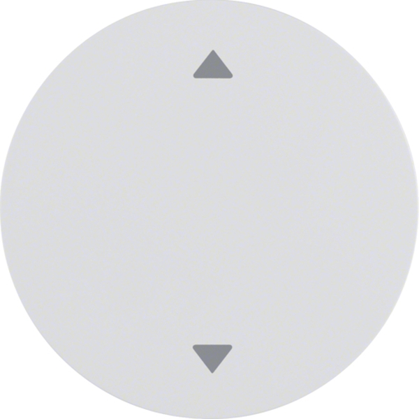 Berker 16202049 Wippe mit Aufdruck Symbol Pfeile R.1/R.3 polarweiß glänzend
