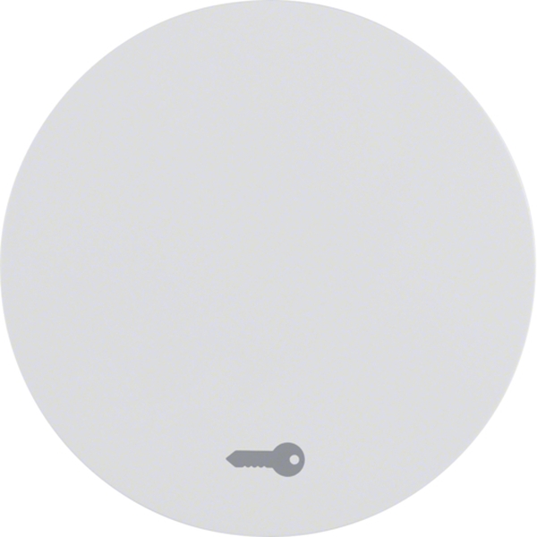 Berker 16202059 Wippe mit Aufdruck Symbol Tür R.1/R.3 polarweiß glänzend