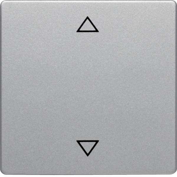 Berker 16206074 Wippe mit Aufdruck Symbol Pfeile Q.1/Q.3 alu samt lackiert