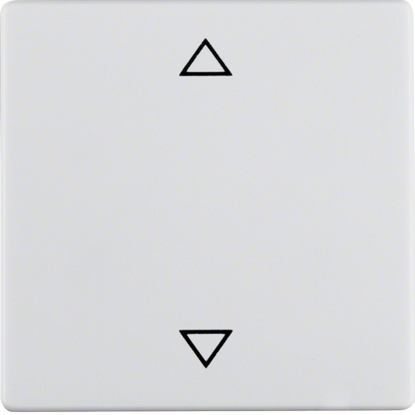Berker 16206079 Wippe mit Aufdruck Symbol Pfeile Q.1/Q.3 polarweiß samt