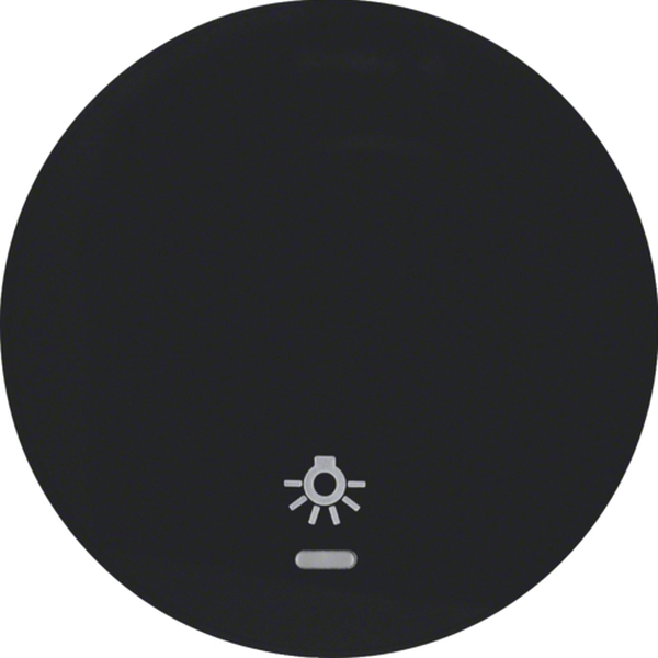 Berker 16212035 Wippe mit klarer Linse und Aufdruck Symbol Licht R.1/R.3 schwarz glänzend