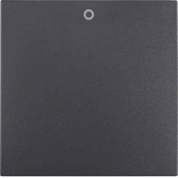 Berker 16221606 Wippe mit Aufdruck '0' S.1/B.3/B.7 anthrazit matt
