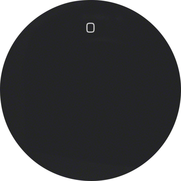 Berker 16222045 Wippe mit Aufdruck '0' R.1/R.3 schwarz glänzend