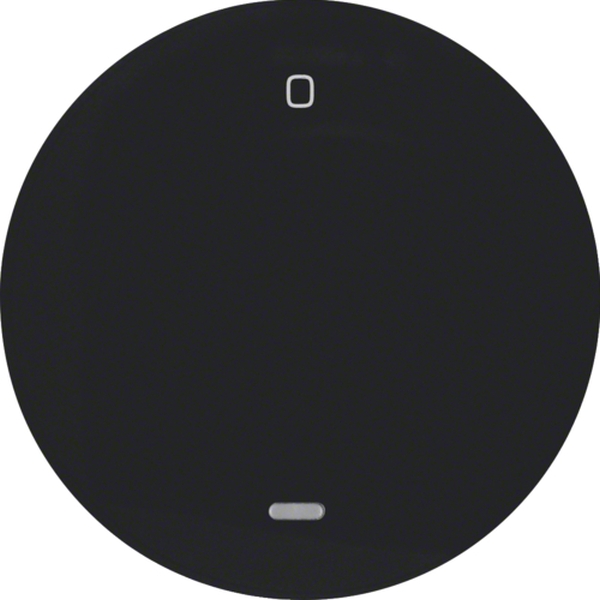 Berker 16242045 Wippe mit klarer Linse und Aufdruck '0' R.1/R.3 schwarz glänzend