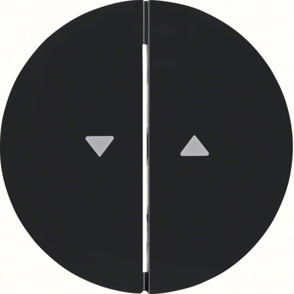 Berker 16252045 Wippe 2-fach mit Aufdruck Symbol Pfeil R.1/R.3 schwarz glänzend