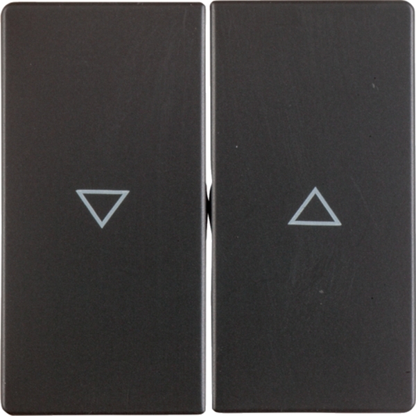 Berker 16256086 Wippe 2-fach mit Aufdruck Symbol Pfeil Q.1/Q.3 anthrazit samt