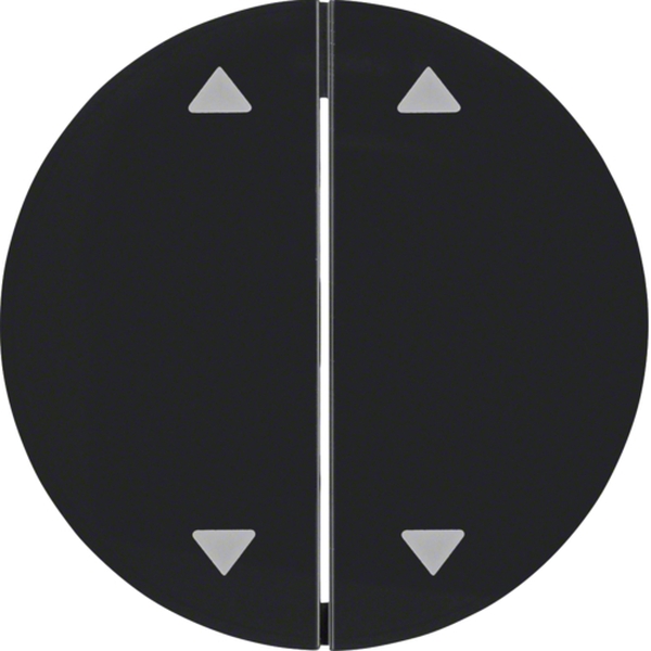 Berker 16442045 Wippe 2-fach mit Aufdruck Symbol Pfeile R.1/R.3 schwarz glänzend