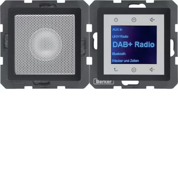 Berker 30806086 Radio Touch mit Lautsprecher DAB+ Bluetooth Q.1/Q.3/Q.7/Q.9 anthrazit samt