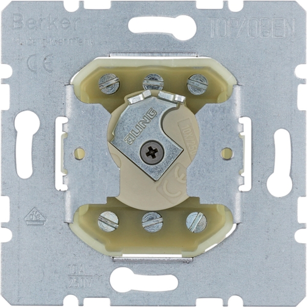 Berker 382610 Schlüsselschalter für Profil-Halbzylinder Modul-Einsätze