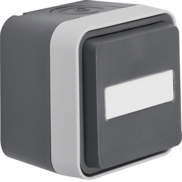 Berker 47413515 Schuko-Steckdose mit Klappdeckel und Beschriftungsfeld AP W.1 grau