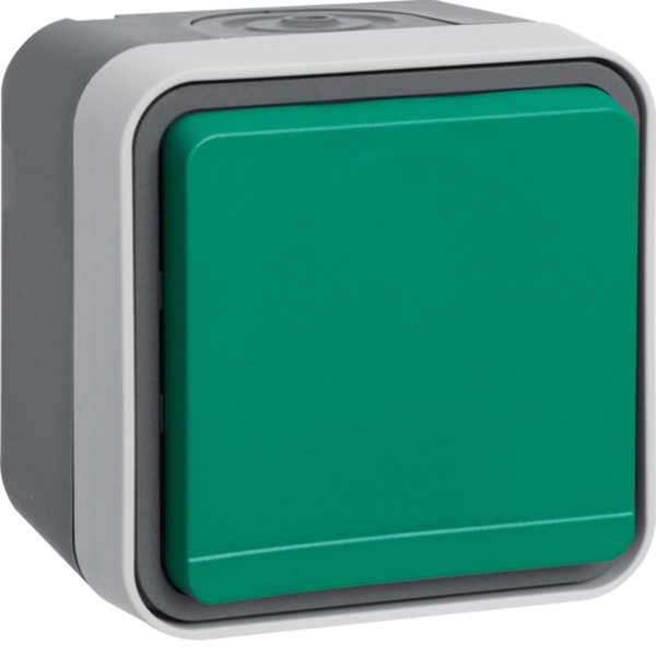 Berker 6745643503 Steckdose mit Schutzkontaktstift und grünem Klappdeckel AP W.1 grau