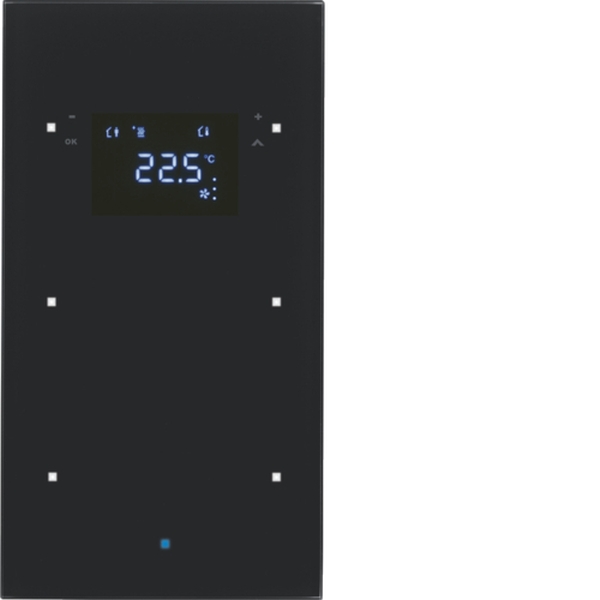 Berker 75642035 Glas-Sensor 2-fach mit Temperaturregler TS Sensor schwarz