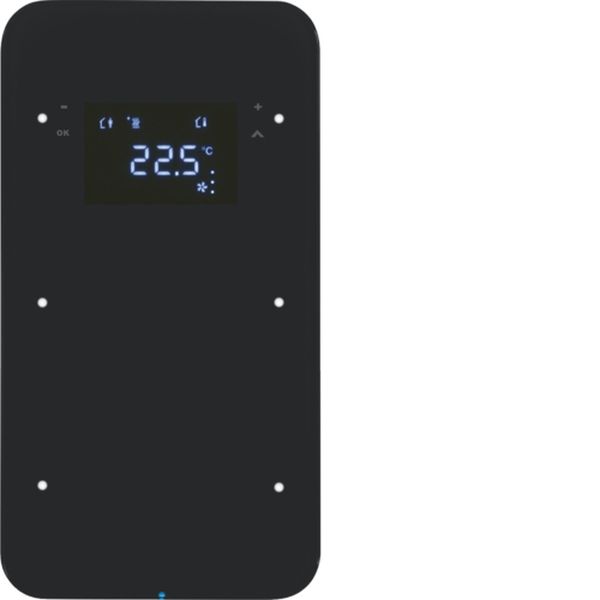 Berker 75642065 Touchsensor 2-fach mit Temperaturregler R.1 Glas schwarz