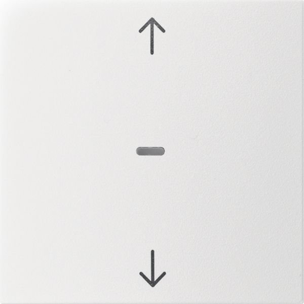 Berker 80961299 Abdeckung für Tastsensor-Modul 1-fach mit Pfeil-Symbol S.1/B.3/B.7 polarweiß matt