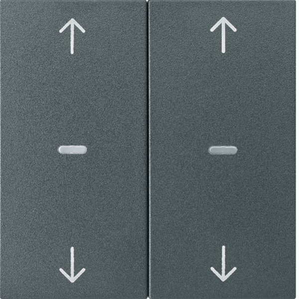 Berker 80961385 Abdeckung für Tastsensor-Modul 2-fach mit Pfeil-Symbol S.1/B.3/B.7 anthrazit