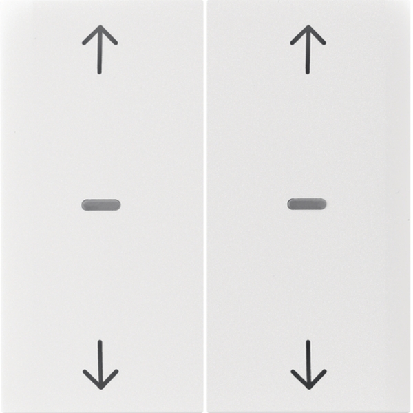 Berker 80961389 Abdeckung für Tastsensor-Modul 2-fach mit Pfeil-Symbol S.1/B.3/B.7 polarweiß glänzend