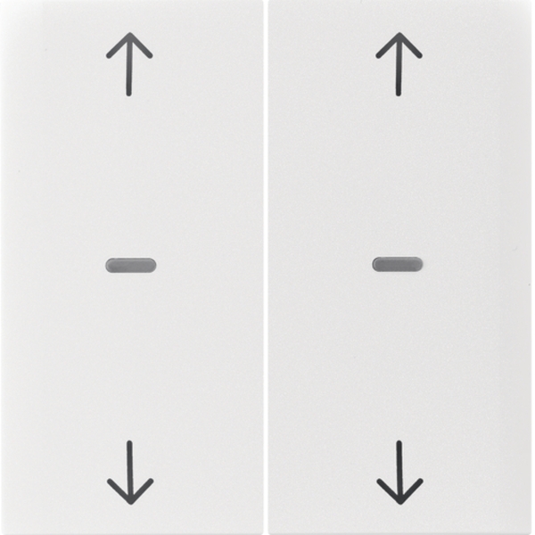 Berker 80961389 Abdeckung für Tastsensor-Modul 2-fach mit Pfeil-Symbol S.1/B.3/B.7 polarweiß glänzend