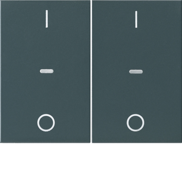 Berker 80962375 Abdeckung für Tastsensor-Modul 2-fach mit I/O-Symbol K.x anthrazit