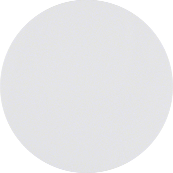 Berker 85141139 Taste 1-fach R.1/R.3 polarweiß glänzend