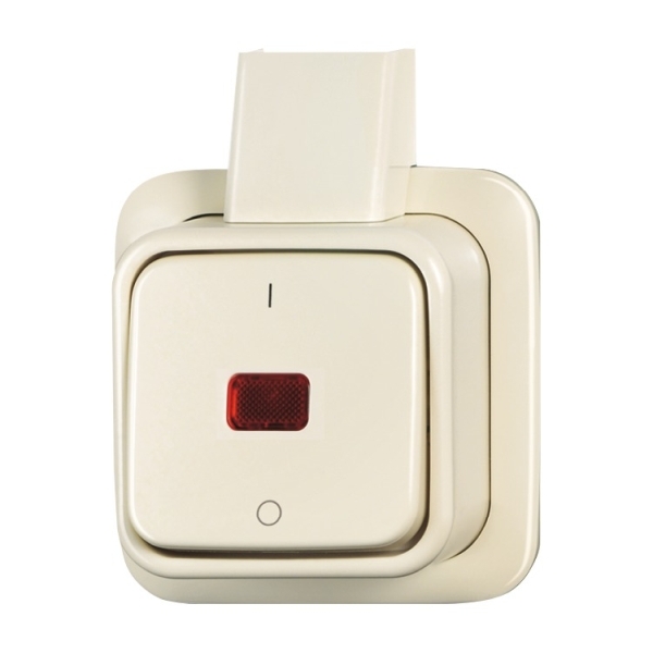 Busch-Jaeger 2601/2 SKAP Wipp-Kontrollschalter 2-polig Ausschalter 2CKA001052A0133