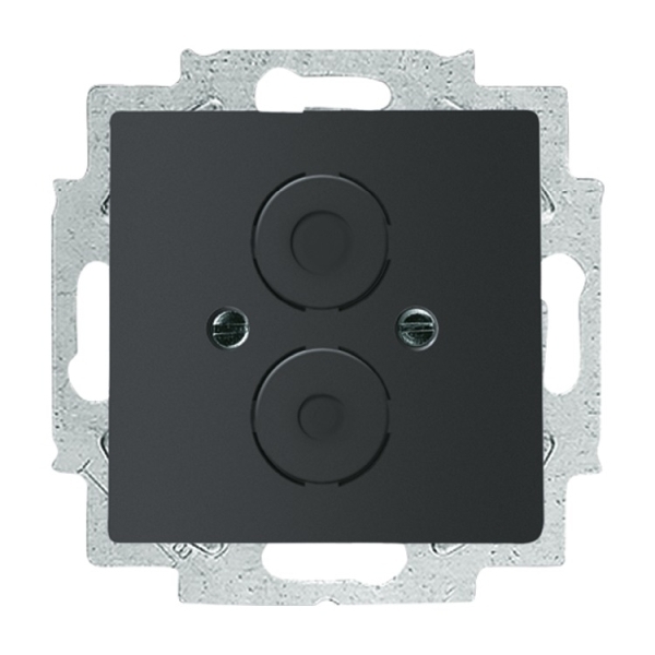 Busch-Jaeger 1748-885 Zentralscheibe mit Tragring schwarz matt 2CKA001710A3899