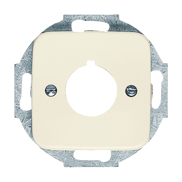 Busch-Jaeger 2533-212 Zentralscheibe mit Tragring cremeweiß 2CKA001724A0210