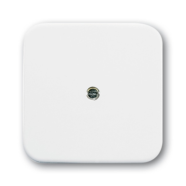 Busch-Jaeger 2536-214 Zentralscheibe alpinweiß 2CKA001724A0921