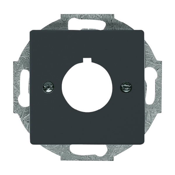 Busch-Jaeger 2533-81 Zentralscheibe mit Tragring anthrazit 2CKA001724A4254