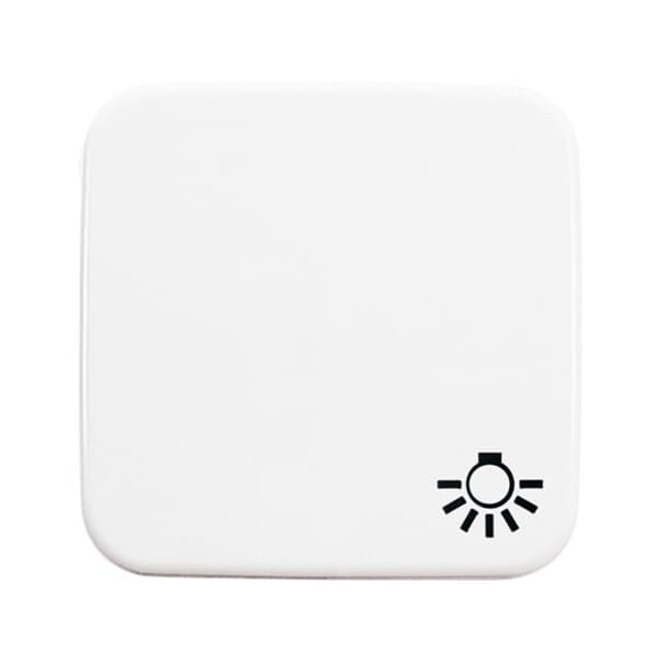 Busch-Jaeger 2520 LI-214 Wippe mit Aufdruck Licht alpinweiß 2CKA001731A0934