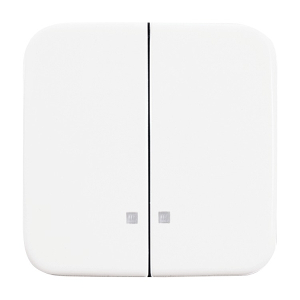 Busch-Jaeger 2505 K-214 Wippe-Serien-Kontrollschalter alpinweiß 2CKA001731A3994