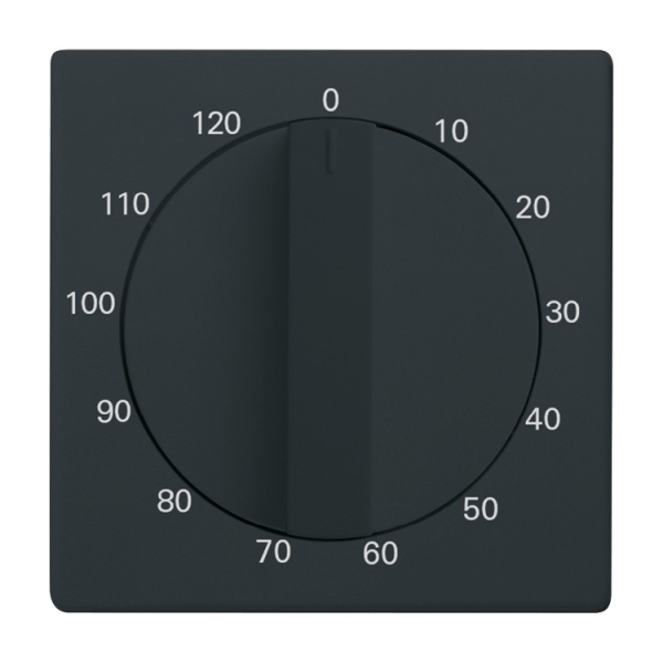 Busch-Jaeger 1771-81-103 Zentralscheibe mit Drehknopf mit Aufdruck anthrazit 2CKA001753A0265