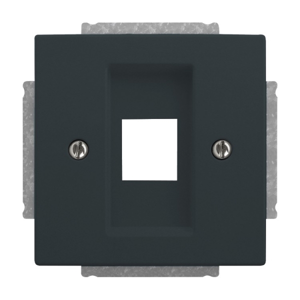 Busch-Jaeger 2561-81 Zentralscheibe anthrazit 2CKA001753A0400