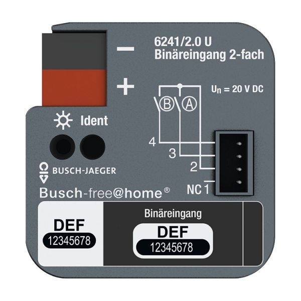 Busch-Jaeger 6241/2.0 U 6241/2.0U Binäreingang 2-fach UP 2CKA006220A0004