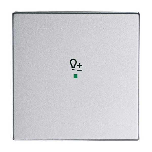 Busch-Jaeger 6234-10-83 Wippe 1-fach mit Symbol 'Dimmer' alusilber 2CKA006220A0045