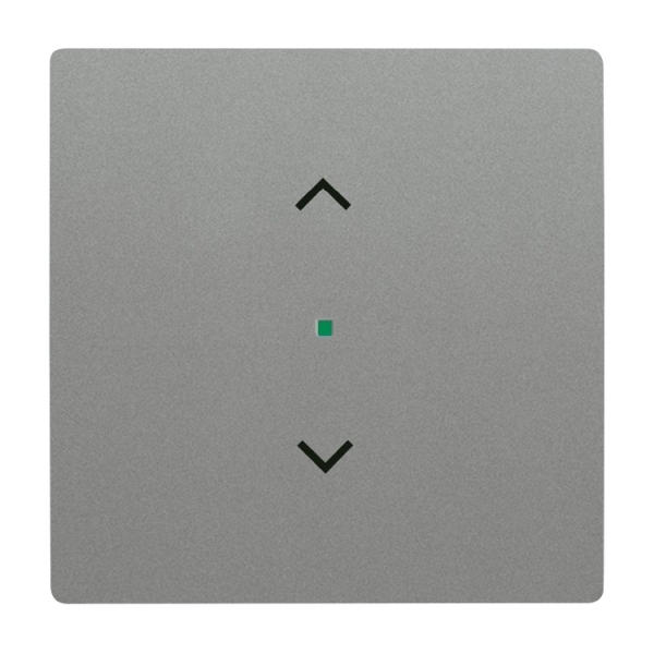 Busch-Jaeger 6232-10-803 Wippe 1-fach mit Symbol 'Jalousie' graumetallic 2CKA006220A0432
