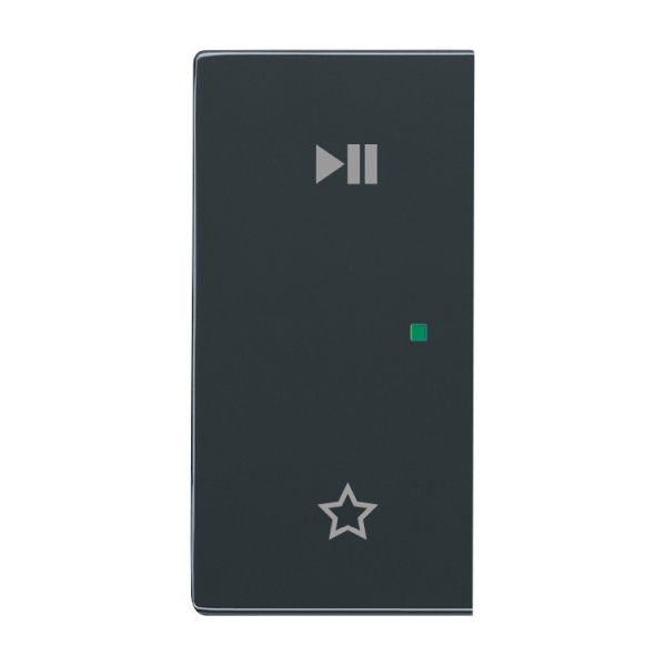 Busch-Jaeger 6237-21-81 Wippe/L 2-fach,Play/Pause anthrazit 2CKA006220A0733