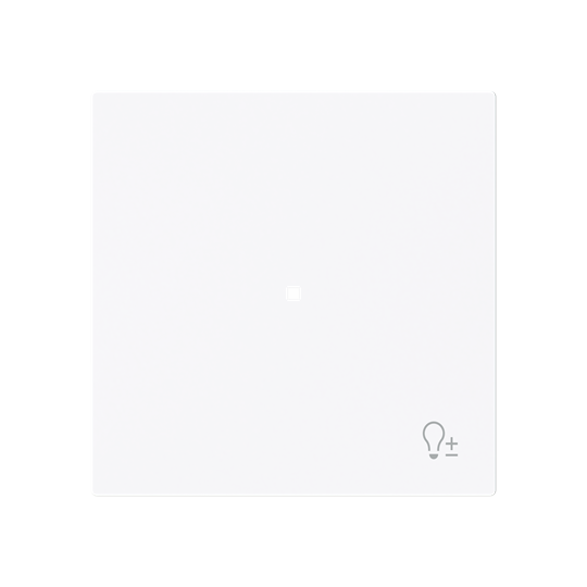 Busch-Jaeger 6234-10-44G Wippe 1-fach mit Symbol "Dimmer" 2CKA006220A0932