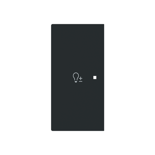 Busch-Jaeger 6234-21-45M Wippe 2-fach, links mit Symbol "Dimmer" 2CKA006220A0959