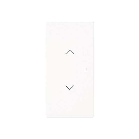 Busch-Jaeger 6232-20-44G Wippe 2-fach mit Symbol "Jalousie" 2CKA006220A0964