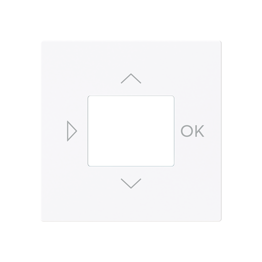 Busch-Jaeger 6435-44G Zentralscheibe für LCD-Display 2CKA006430A0450