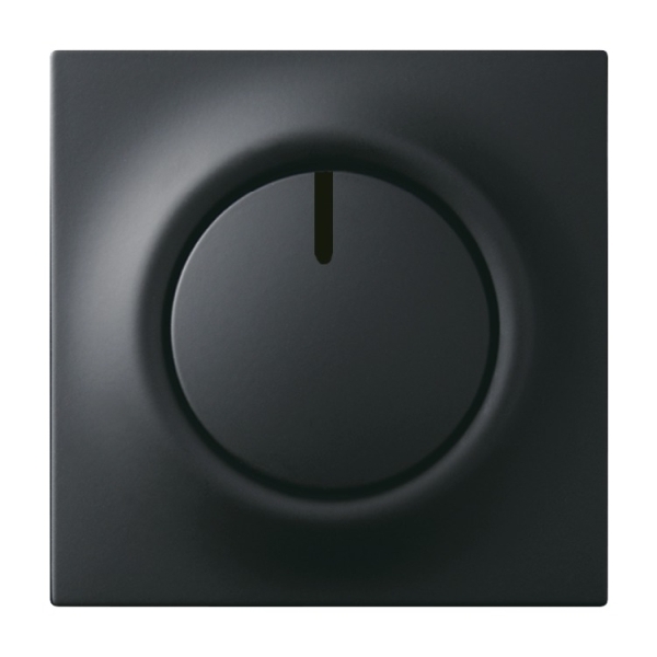 Busch-Jaeger 6540-775 Zentralscheibe mit Drehknopf Befestigungsmutter und Glimmlampe schwarz matt 2CKA006599A2974