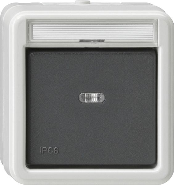 Gira 011631 Wipp-Kontroll AusWe BSF WD AP Grau
