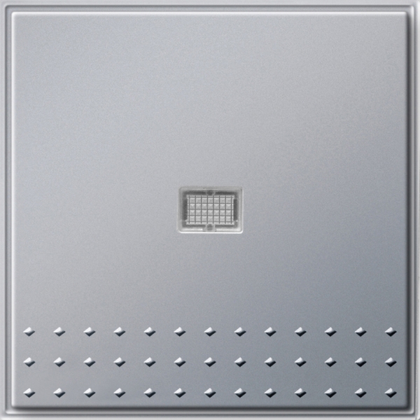 Gira 013665 Tast-Kontrollschalter 10AX 250V mit Wippe Universal-Aus-Wechselschalter Farbe Alu