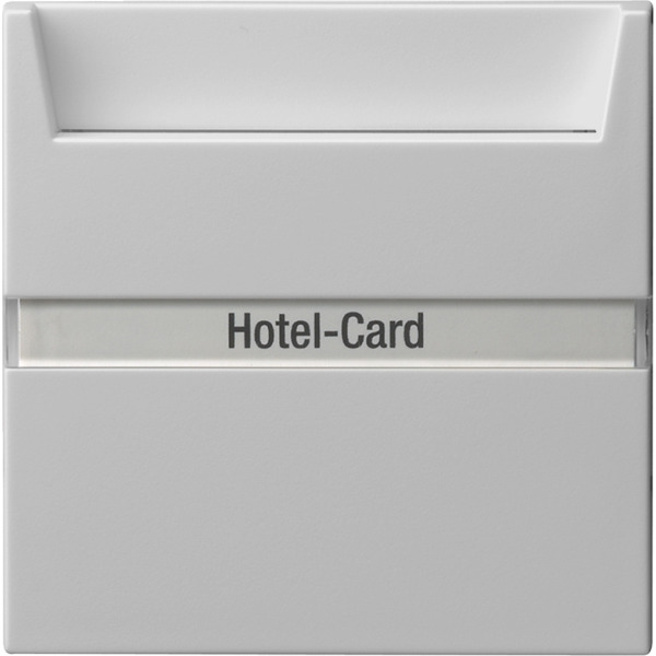 Gira 0140015 Hotel-Card-Schalter 10AX 250V mit Beschriftungsfeld Wechsler 1-polig Grau matt