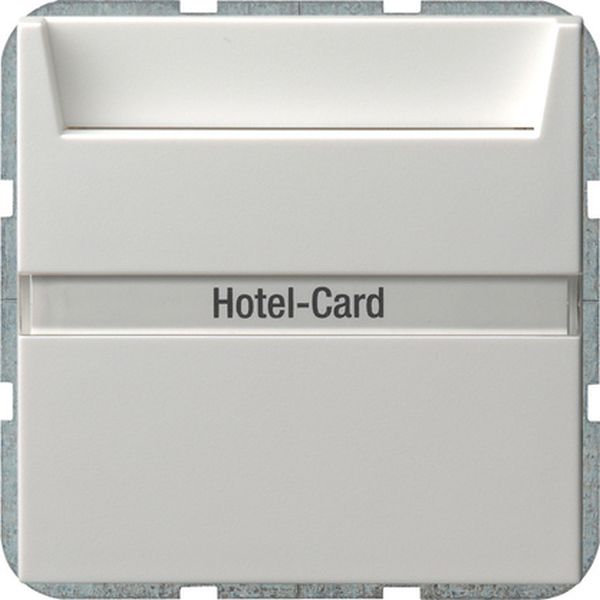 Gira 014027 Hotel-Card-Schalter 10AX 250V mit Beschriftungsfeld Wechsler 1-polig Reinweiß seidenmatt