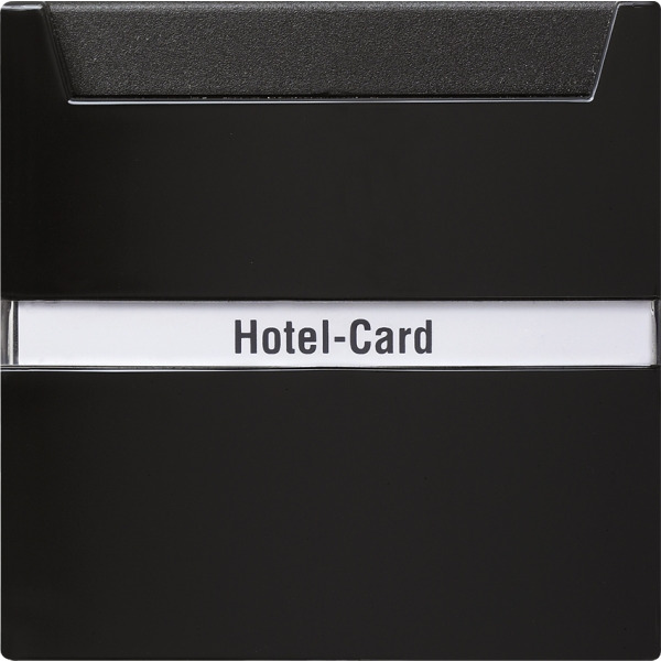 Gira 014047 Hotel-Card-Schalter 10AX 250V mit Beschriftungsfeld Wechsler 1-polig Schwarz