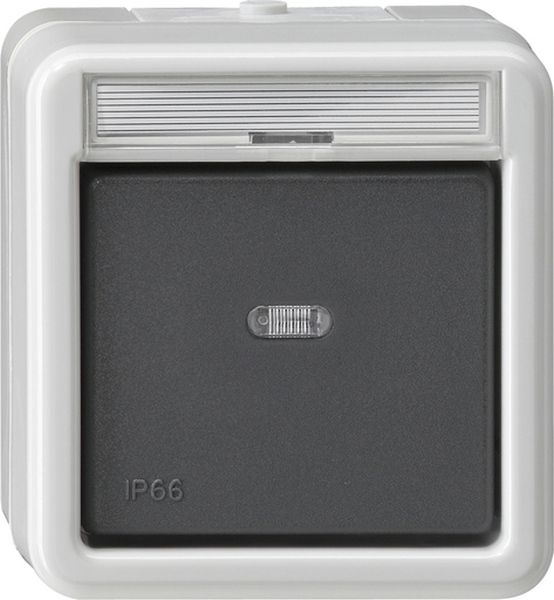 Gira 015231 Wipptaster Schließer sMK BSF WD AP Grau